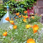 Casa vacanze Le Calendule,relax & Wine *