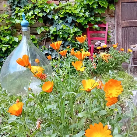 בית נופש Le Calendule,relax & Wine *