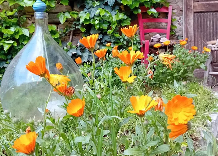 Hébergement de vacances Le Calendule,relax Home&wine *